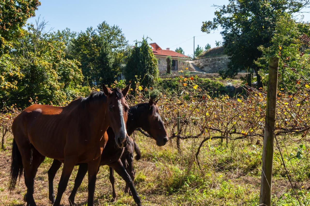 Casa Nos Penedos Konuk evi Arcos de Valdevez Dış mekan fotoğraf